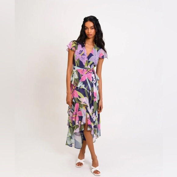 Hutch Anda Midi Dress - Picture 6 of 6